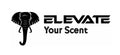 ElevateYourScent fragrance oils 